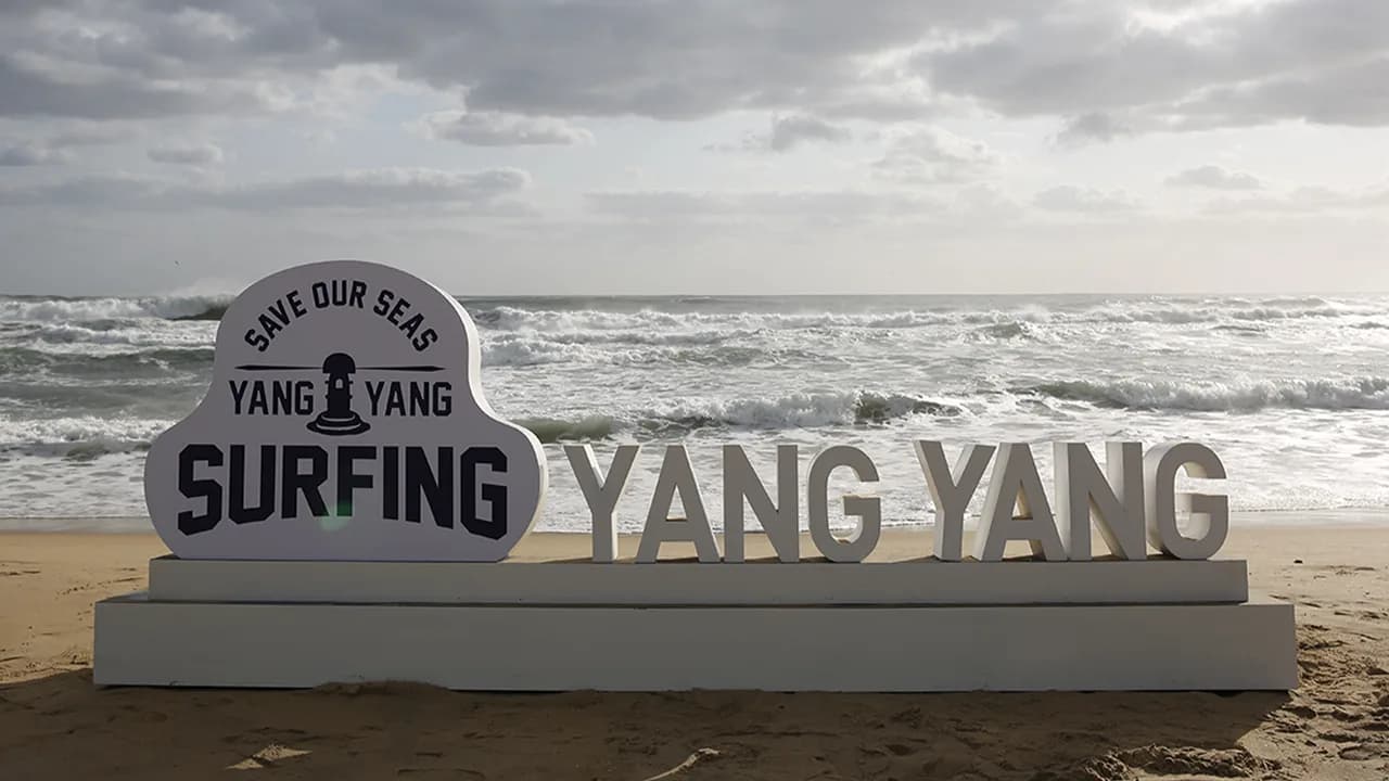2019 양양 서핑페스티벌 이미지 3