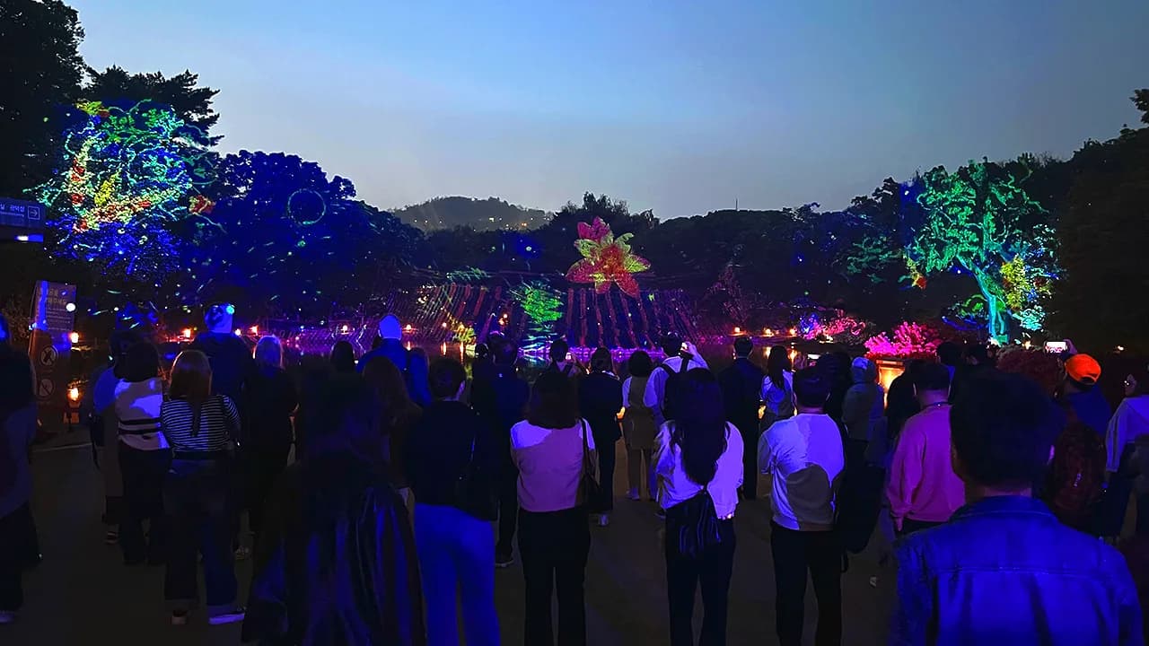 2024 창경궁 궁중문화축전 물빛연화 이미지 2