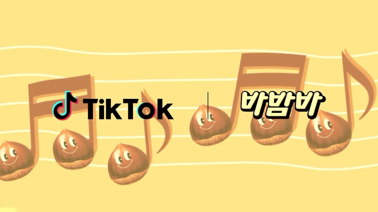 틱톡 포 비즈니스 캠페인 씨즐 영상 제작 이미지 4